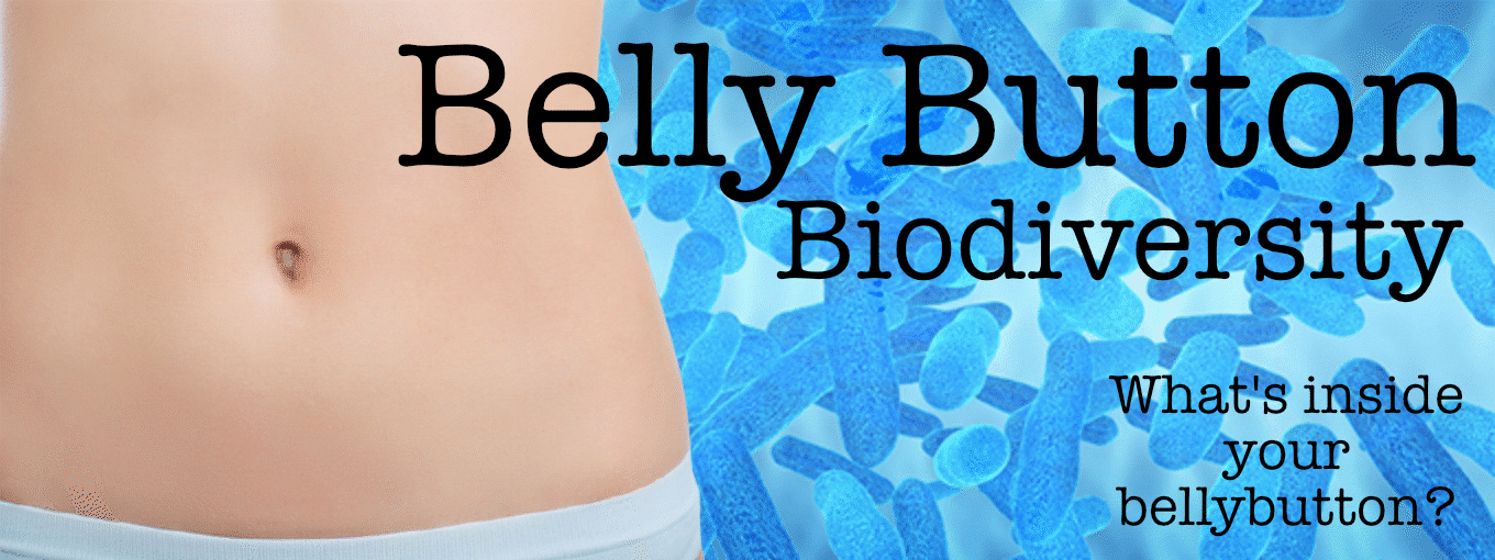 Bellybutton
